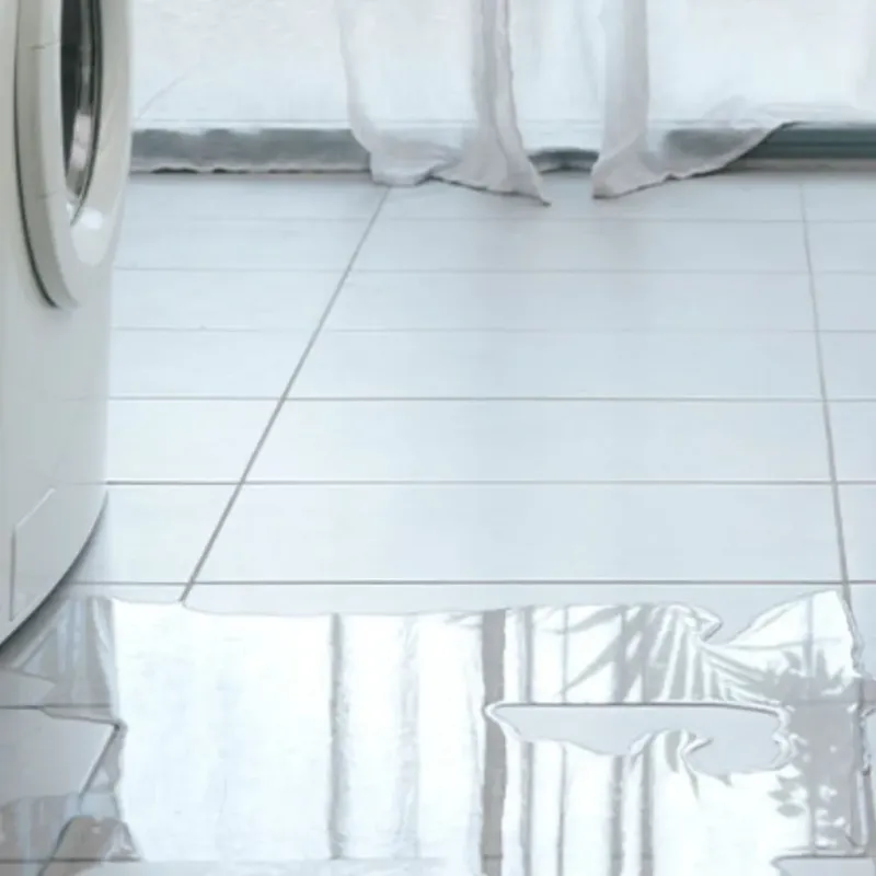 Appliance Leak Cleanup in Taylors, SC