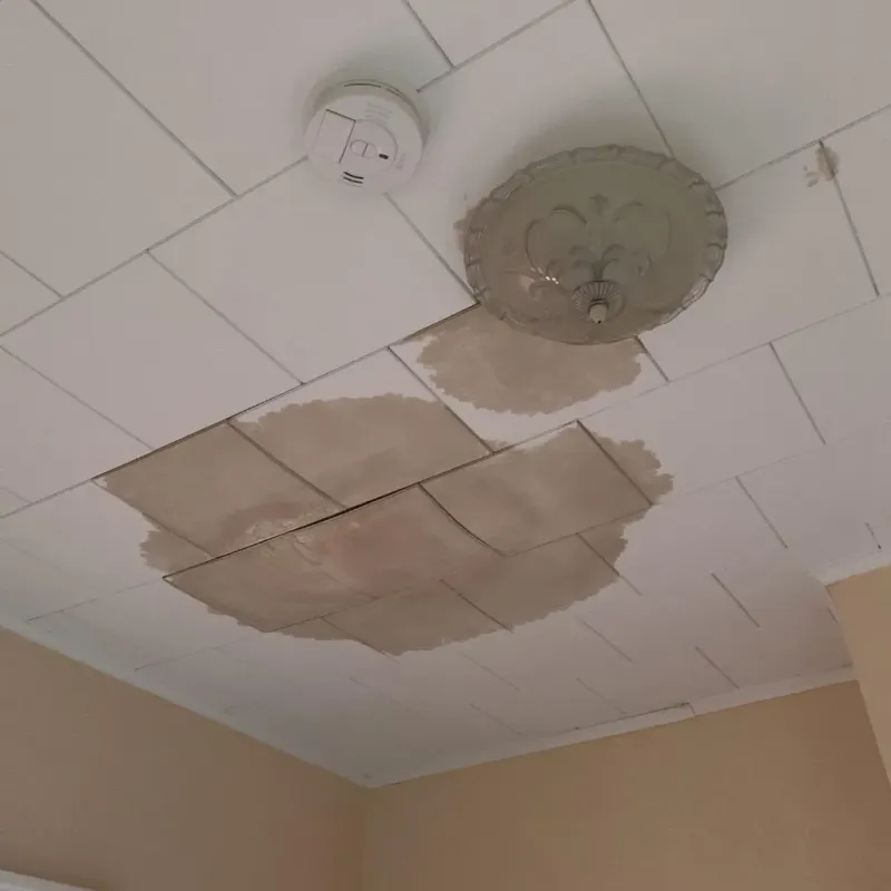 Ceiling Water Damage Repair in Taylors, SC