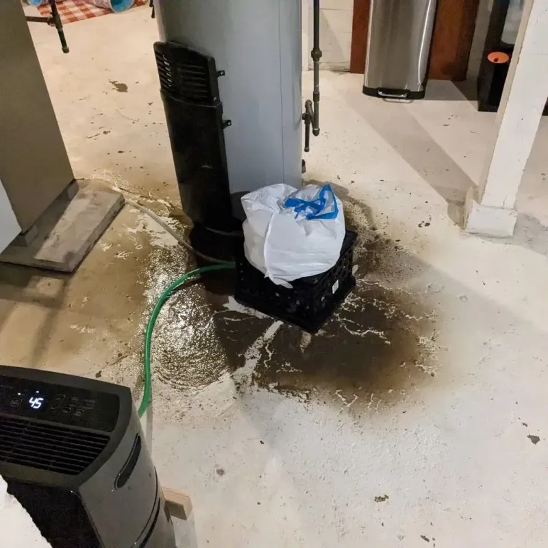 Sewage Backup Cleanup Service in Taylors, SC